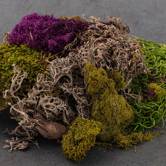 SuperMoss® Purple & Green Preserved Mixed Moss